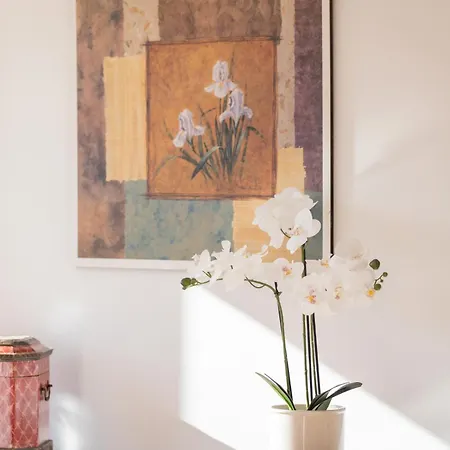 Santuiturri - Baskeyrentals زاروتز